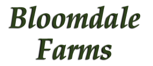 Bloomdale Farms Neighborhood